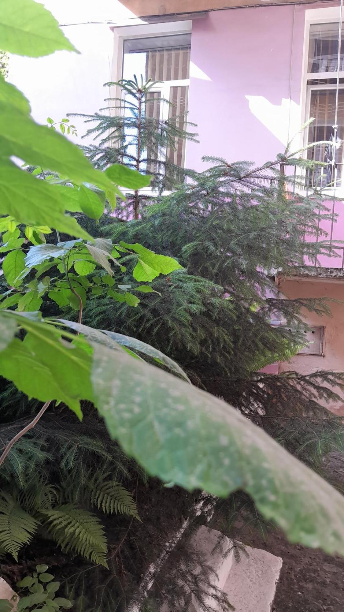 1Ком Апартаменты,Парковка,Улхорватская Lviv Exteriör bild