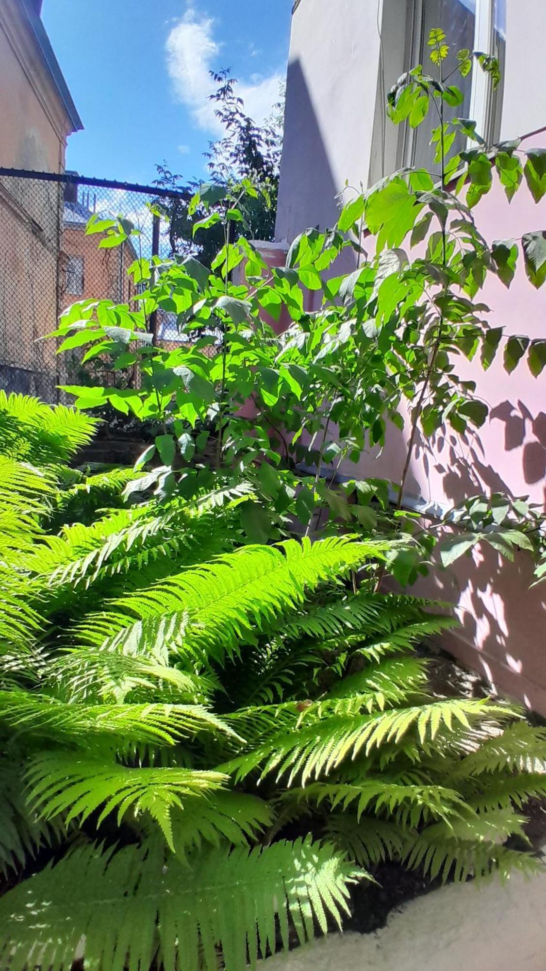 1Ком Апартаменты,Парковка,Улхорватская Lviv Exteriör bild
